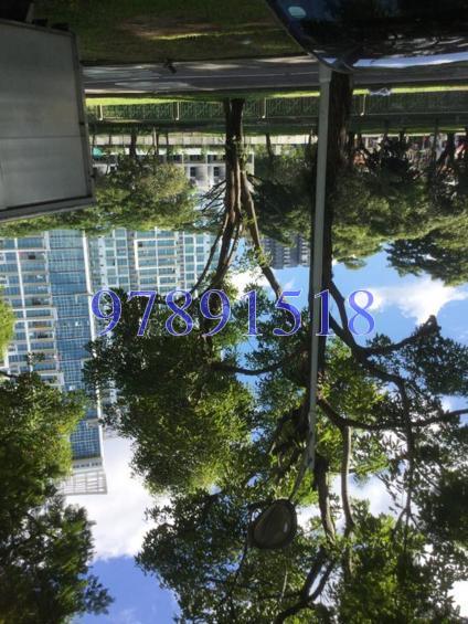 Blk 34 Whampoa West (Kallang/Whampoa), HDB 3 Rooms #129662842
